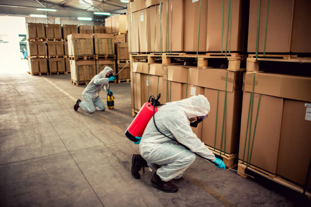 Best Affordable Pest Control Services  in Mayfield, PA