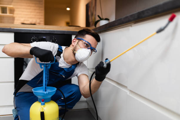 Reliable Mayfield, PA Pest Control Solutions