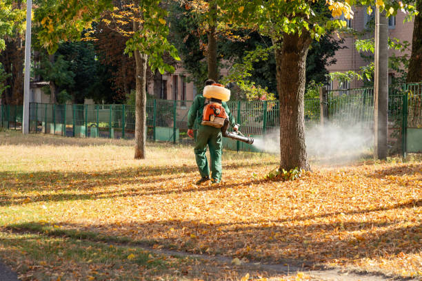 Best Pest Control Near Me  in Mayfield, PA