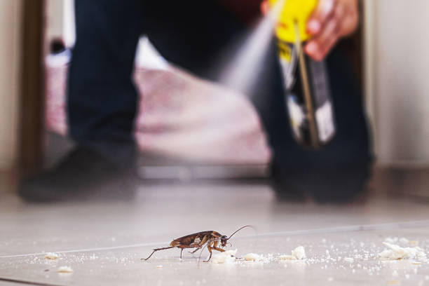 Insect Control in Mayfield, PA