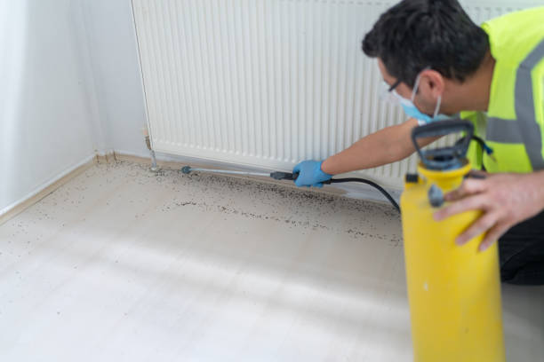 Best Insect Control  in Mayfield, PA