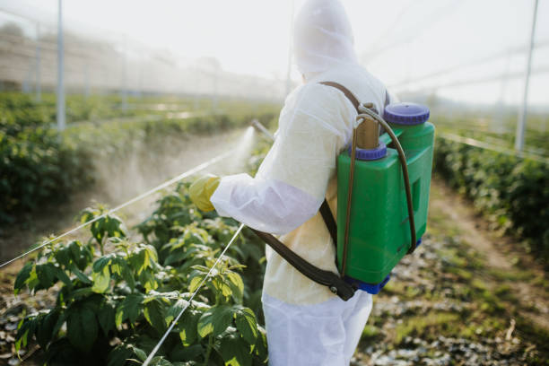 Best Local Pest Control Services  in Mayfield, PA